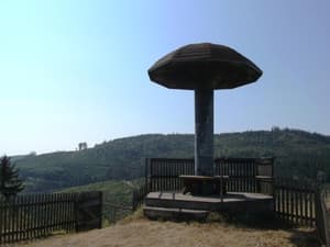 thumbnail: 29786714.jpg