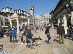 thumbnail: General view