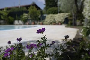 thumbnail: Exterior detail