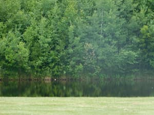 thumbnail: View from property