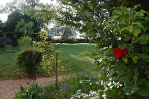 thumbnail: Garden