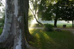 thumbnail: Property grounds