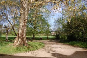 thumbnail: Property grounds