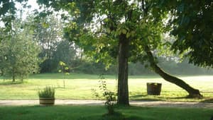 thumbnail: Property grounds
