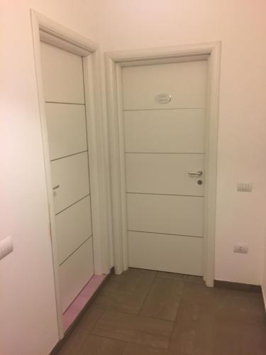 36817959.jpg