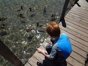 thumbnail: Dock