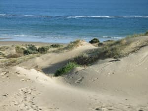 thumbnail: Beach