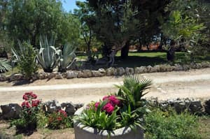 thumbnail: Garden