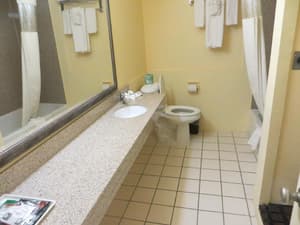 thumbnail: General view
