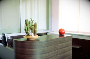 thumbnail: Reception
