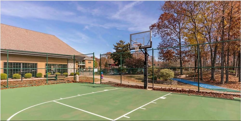 Basketball court