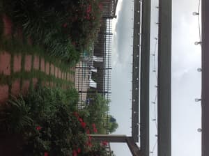 thumbnail: Property grounds