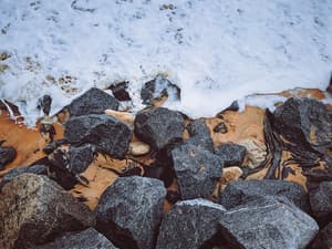 thumbnail: Property grounds