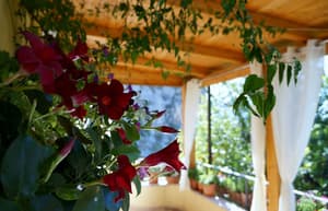 thumbnail: Exterior detail