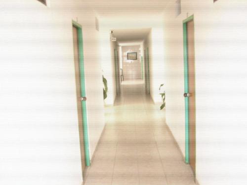 37415907.jpg