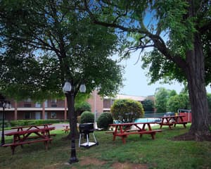 thumbnail: Property grounds