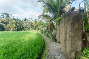 thumbnail: Street view