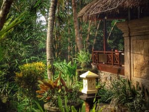 thumbnail: Garden