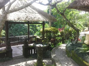 thumbnail: Property grounds