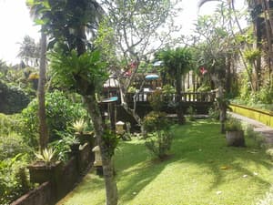 thumbnail: Property grounds