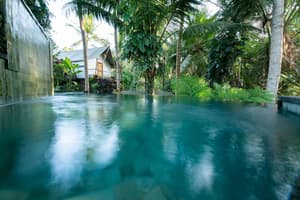 thumbnail: Natural pool