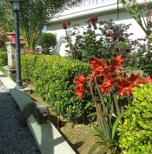 thumbnail: General view