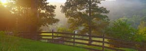 thumbnail: General view