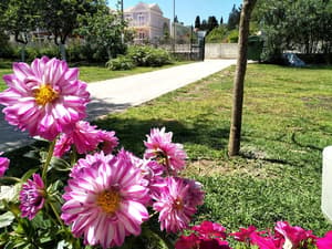 thumbnail: Garden view
