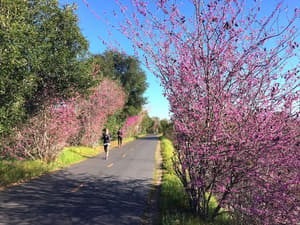 thumbnail: Bicycling
