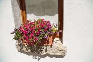 thumbnail: Exterior detail