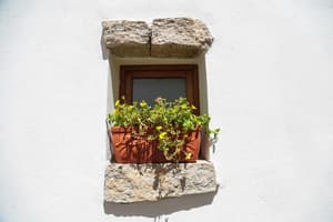 thumbnail: Exterior detail