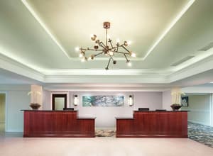thumbnail: Reception