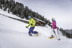 thumbnail: Snowshoeing