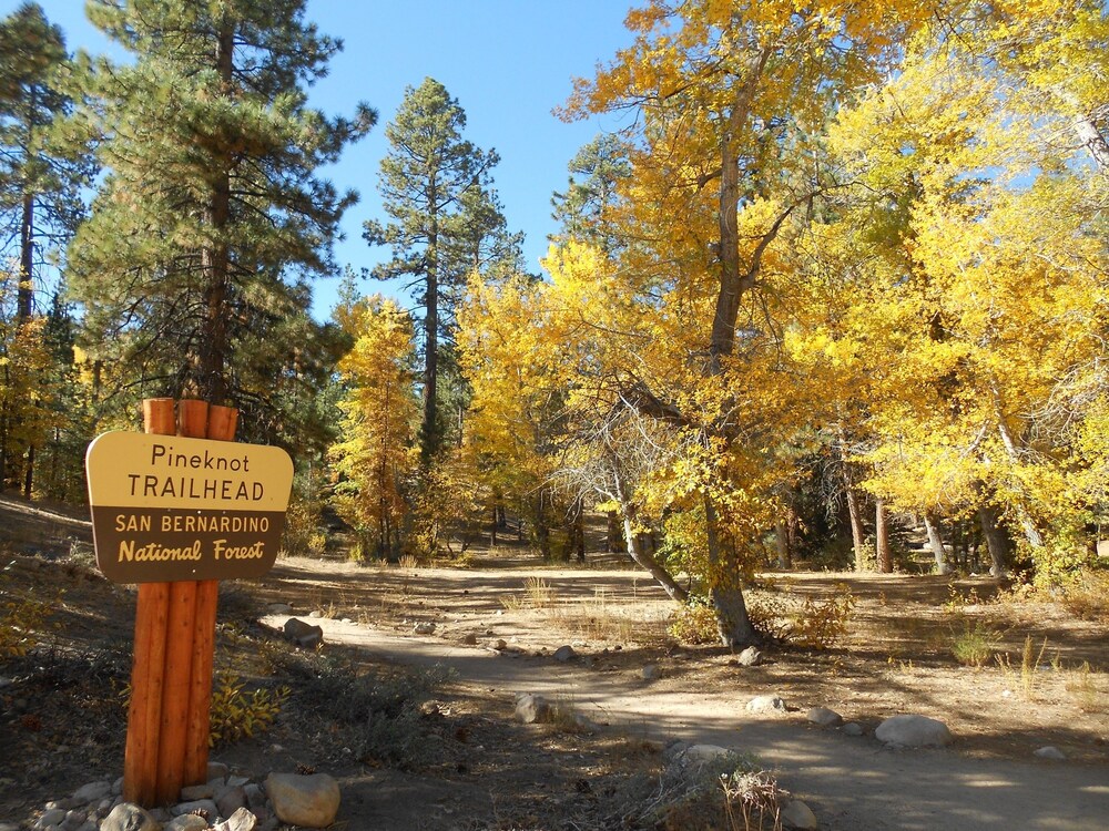 Hiking