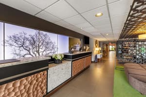 thumbnail: Reception