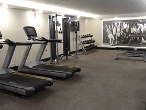 thumbnail: Fitness studio