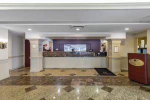 thumbnail: Reception