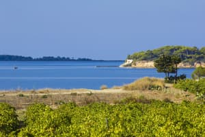 thumbnail: View from property