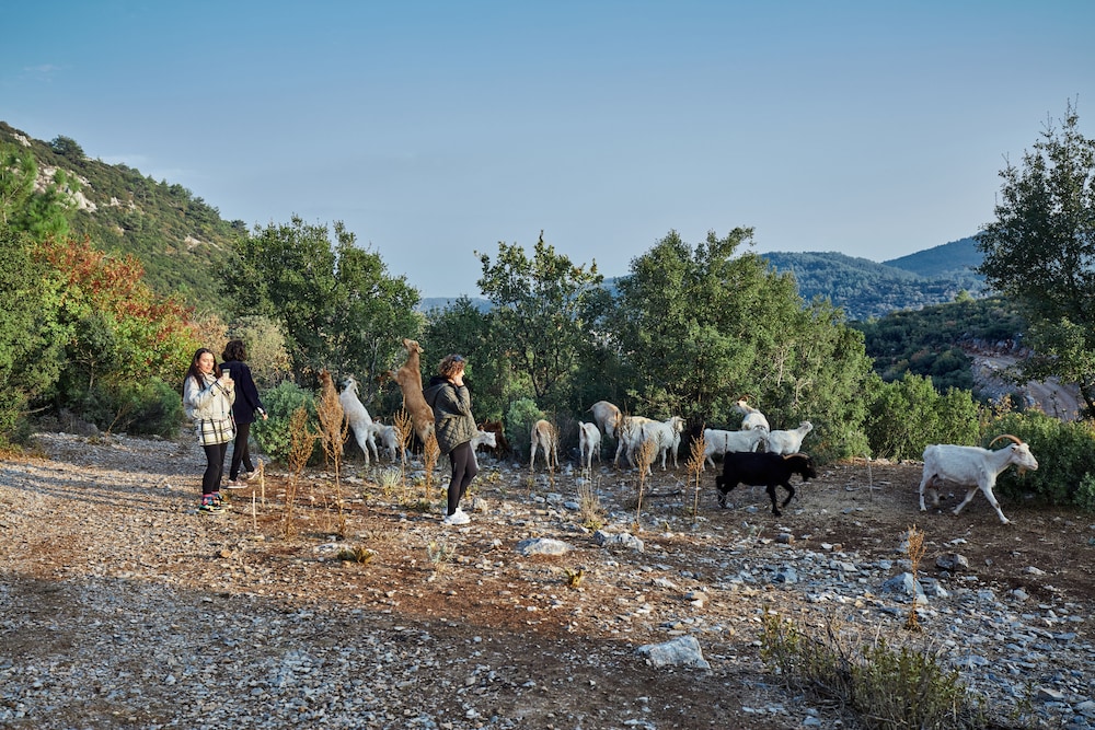 Ecotours