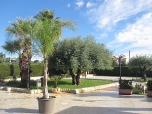 thumbnail: Garden