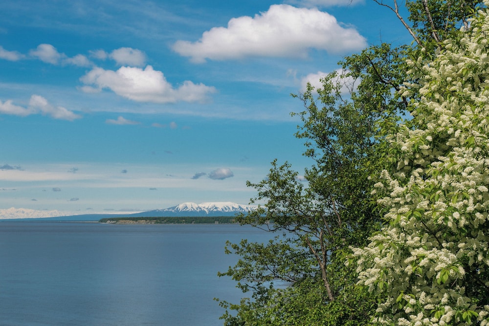 Land view from property