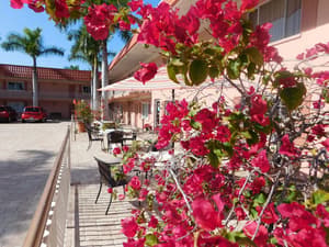 thumbnail: Terrace/patio