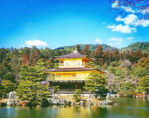 thumbnail: General view