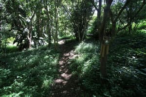 thumbnail: Property grounds