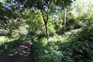 thumbnail: Property grounds