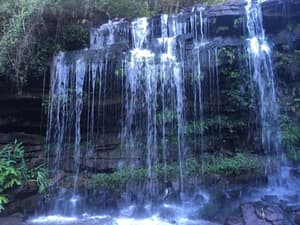 thumbnail: Property grounds