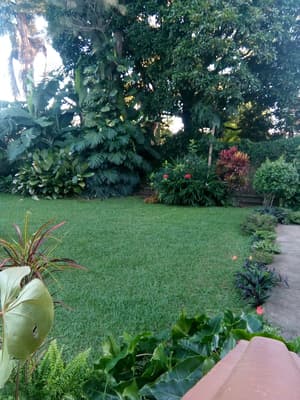 thumbnail: Garden