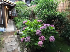 thumbnail: Garden
