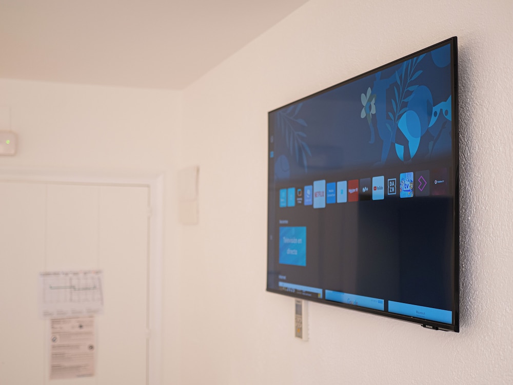 Television
