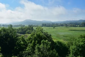 thumbnail: View from property